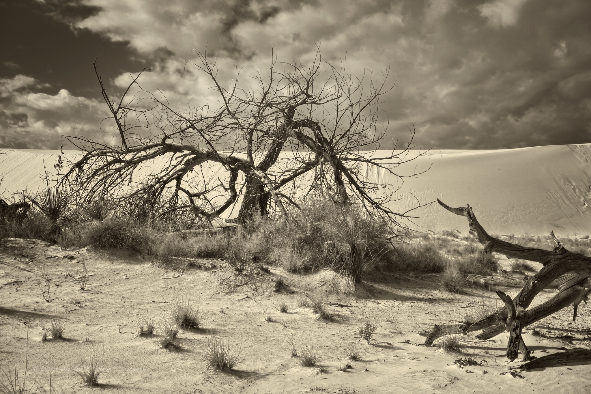 White Sands