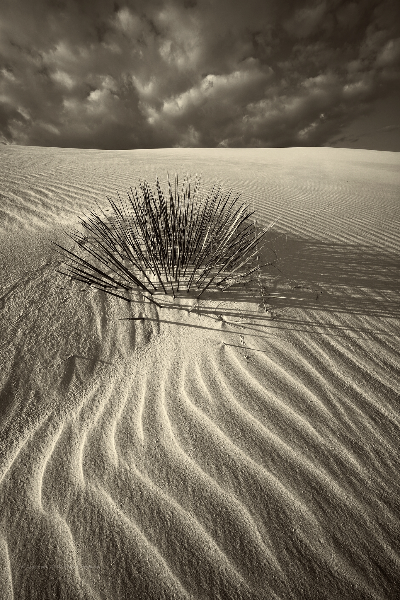 White Sands